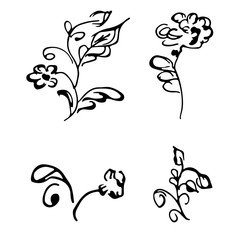 Flowers and branches hand drawn doodle collection isolated on white background. 4 floral graphic elements. Big vector set. Outline collection