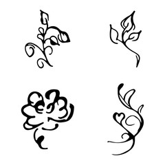 Flowers and branches hand drawn doodle collection isolated on white background. 4 floral graphic elements. Big vector set. Outline collection
