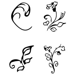 Flowers and branches hand drawn doodle collection isolated on white background. 4 floral graphic elements. Big vector set. Outline collection