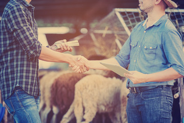 Veterinarians advise farmers to raise sheep and goats; Caring and supporting farmers and providing...