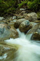 Naklejka na ściany i meble water rushing through rocky creek inside forest