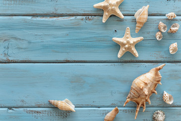 Summertime concept with seashells and starfish on a blue wooden background. Top view. Free space for text.