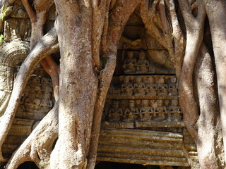 Fototapeta na wymiar Temple Angkor dans la jungle