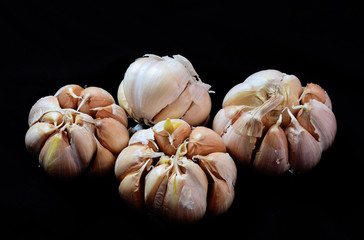 Close up the details of garlic or onion with a blank black background