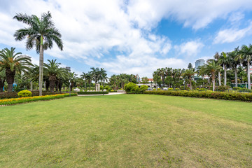 Naklejka premium park in city