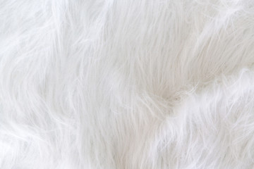 Close up white fur texture or carpet for background