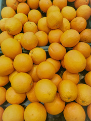  Fresh fruits and vegetables New from the garden of Thailand6