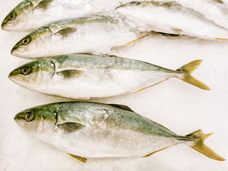 Big fish sold at seafood restaurants5