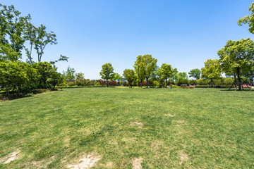 park in city