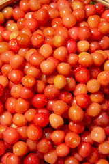 サクランボの実