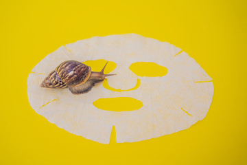 Sheet mask with snail mucus on yellow background