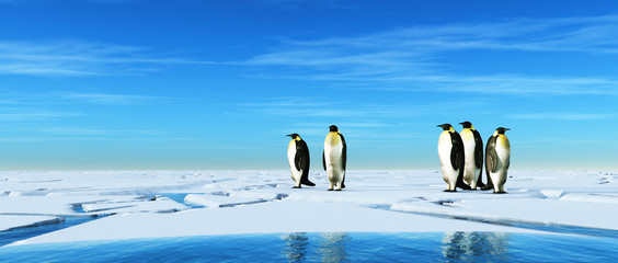 Group of penguins - obrazy, fototapety, plakaty
