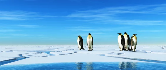 Foto op Aluminium Group of penguins © Orlando Florin Rosu