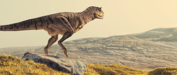 Carnotaurus on field © Orlando Florin Rosu