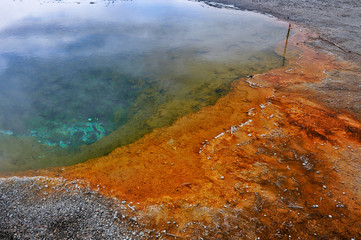 Bassin geothermal à Yellowstone USA