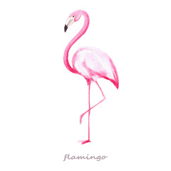 Naklejka premium Watercolor with pink flamingo. The illustrations are drawn by hand