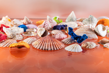 Abstract composition of various seashells. On the textured background