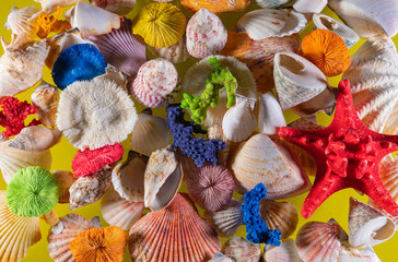 Obraz na płótnie Canvas Sea shells background decoration. Beautiful Sea shells background decoration