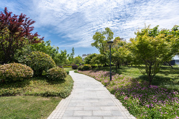 road in the park