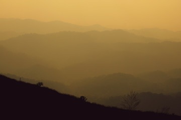 landscape fantastic sunset on foggy autumn forest valley, mystical valley background