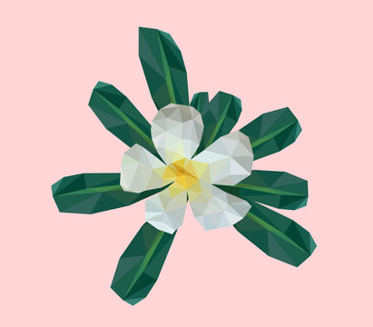 Blooming white plumeria flower with green leaves low polygonal vector
