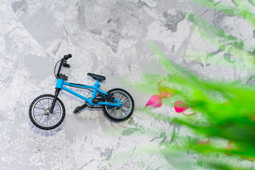 Fototapeta na wymiar toy bike surrounded by grass and flower petals