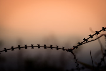 Barbed wire fence and Light of Hope. Barbed wire fence with Twilight sky to feel Silent and lonely and want freedom