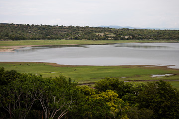 Lago en bosque verde miacatlán morelos méxico