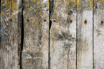 Old faded wood plank background - natural wood