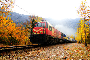 Passenger Train on countryside landscape in between colorful autumn leaves and trees in forest of Mersin, Turkey