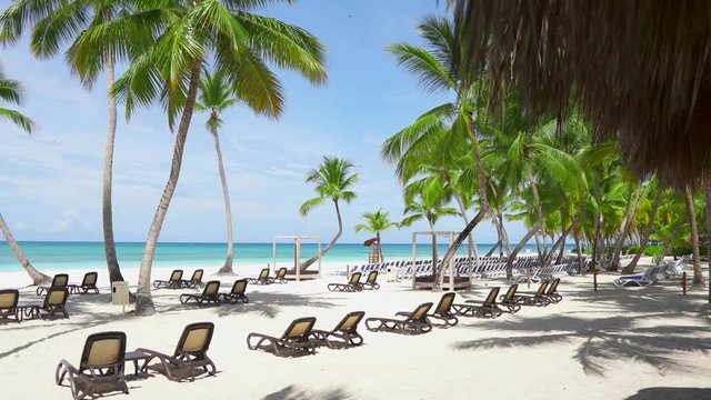 Dominican Republic Saona Island, beach club and beach sun loungers. Sun umbrellas thatched roofs. Blue sea, white sand and blue sky. Summer vacation paradise isle. Beach chairs and Palm trees