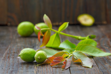 Walnut green leaves and young, green walnuts