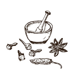 Vector illustration of spices set.Chili pepper, clove, salt, cardamom, stone spice grinder. Hand drawn outline sketch style.