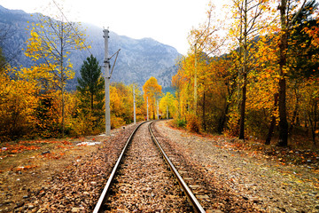 Railroad tracks on mountainside landscape in between colorful autumn leaves and trees in forest of Mersin, Turkey