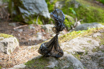 A small baggie filled with dog poop that was left behind by a dog owner on a nature trail