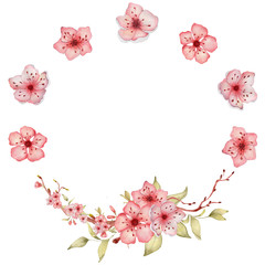 Sakura flowers watercolor illustration. Blossom petal wreath 