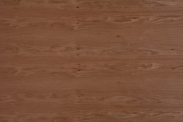 Wood oak tree close up texture background. Wooden floor or table with natural pattern. Good for any interior design