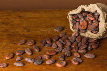 Cacao beans on wooden bacground.