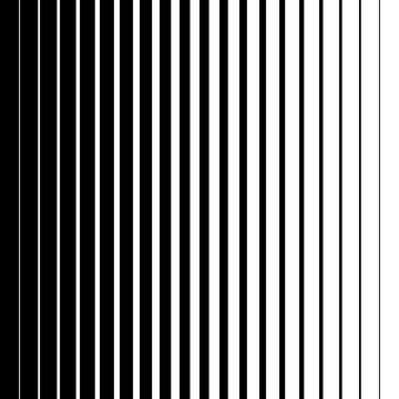 black and white monochrome vertical lines different sizes, vector background