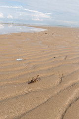 paysage de bord de mer sous le soleil