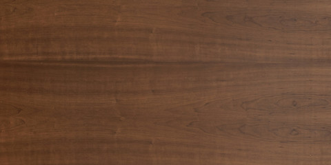 Wood oak tree close up texture background. Wooden floor or table with natural pattern. Good for any interior design