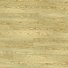 Obraz premium Wood oak tree close up texture background. Wooden floor or table with natural pattern. Good for any interior design