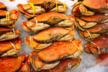 Several units of Dungeness crab over ice