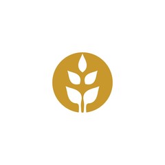 Wheat vector icon illustration design