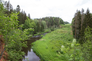 City Straupe, Latvian Republic. Red rocks and river Brasla. Green and overgrown forest. Jun 1. 2019 Travel photo.