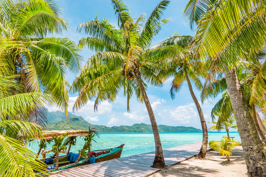 Beautiful landscape with coconut palm trees on tropical Island of Bora Bora. Decorated tourist boat moored at wooden quay.