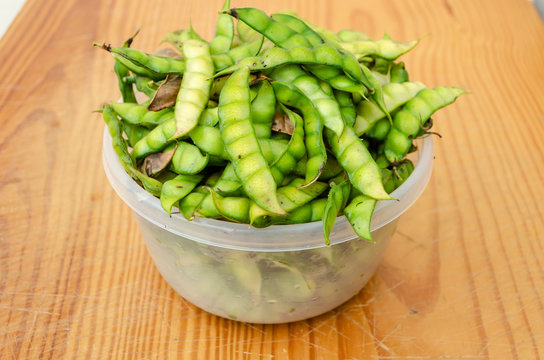 Plastic Bowl Of Pigeon Peas