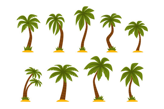 Flat vector set of cartoon tropical palms. High trees with long green leaves and brown trunks. Elements for mobile game or print