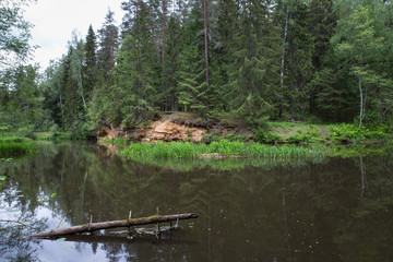 City Straupe, Latvian Republic. Red rocks and river Brasla. Green and overgrown forest. Jun 1. 2019 Travel photo.