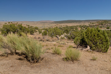 desert and hills of Rabbit Valley (Grand County, Utah, USA)